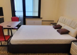 Аренда квартиры студии, 26.4 м2, Мурино, проспект Авиаторов Балтики, 7, ЖК Виктория