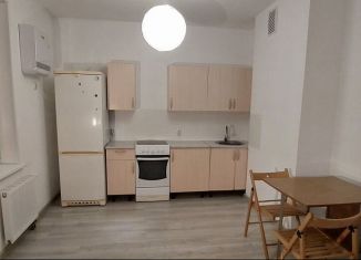 Аренда квартиры студии, 37 м2, Екатеринбург, проспект Академика Сахарова, 45