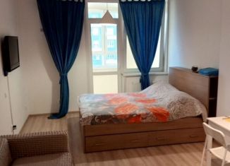 Квартира в аренду студия, 31.7 м2, Екатеринбург, проспект Академика Сахарова, 73