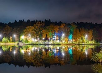 Квартира на продажу студия, 26.5 м2, Светлогорск