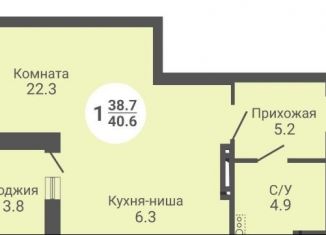 Продажа 1-ком. квартиры, 40.6 м2, Новосибирская область, улица Петухова, 170