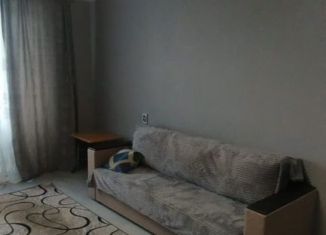 Сдача в аренду однокомнатной квартиры, 35 м2, Колпино, Пролетарская улица, 117