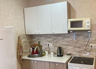 Сдаю в аренду квартиру студию, 20 м2, Тюмень, улица Тимофея Чаркова, 28, ЖК Новый Мыс 3.0