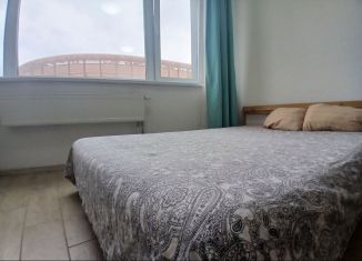 Сдача в аренду квартиры студии, 25.8 м2, Екатеринбург, улица Степана Разина, 2
