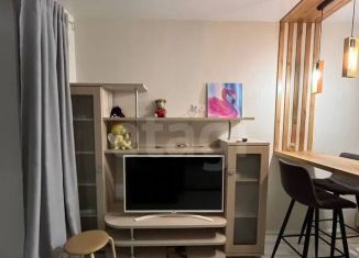 Аренда квартиры студии, 24.1 м2, Тюмень, улица Тимофея Чаркова, 28, ЖК Новый Мыс 3.0