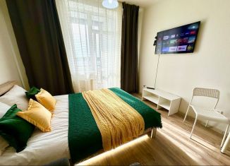Квартира в аренду студия, 29 м2, Екатеринбург, улица Чайковского, 66А