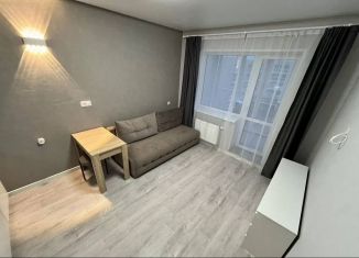 Сдается в аренду квартира студия, 26 м2, деревня Куюки, Молодёжная улица, 29