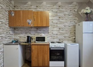 Сдам в аренду 1-комнатную квартиру, 32.3 м2, Колпино, Загородная улица