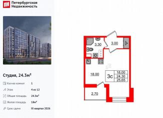 Квартира на продажу студия, 24.3 м2, Санкт-Петербург, метро Проспект Просвещения