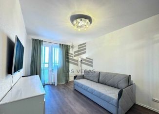 Сдам в аренду 2-ком. квартиру, 31 м2, Санкт-Петербург, Муринская дорога, 8к1