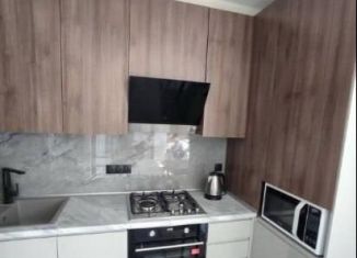 Продаю 1-комнатную квартиру, 42 м2, село Белоглинка, Парковая улица, 2к1, ЖК Грэсовский