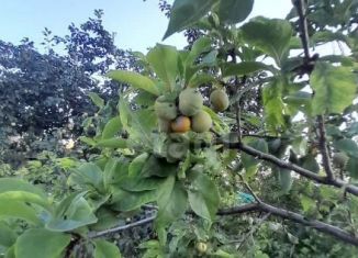 Дача на продажу, 46.9 м2, Верхняя Пышма, СНТ № 1 Горняк, 6