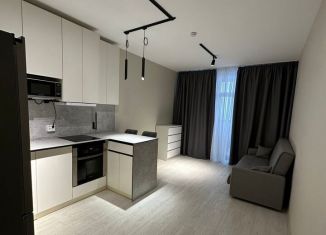 Сдаю в аренду квартиру студию, 27 м2, посёлок Шушары, Школьная улица, 15