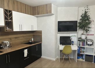 Квартира на продажу студия, 24.7 м2, Челябинск, улица Петра Сумина, 26
