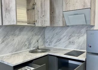Сдается в аренду квартира студия, 22 м2, Тюмень, Полевая улица, 117к3, ЖК Озёрный Парк
