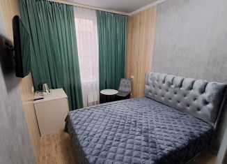 Квартира в аренду студия, 16 м2, Москва, Автозаводская улица, 23с16, метро Технопарк