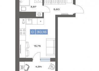 Продам квартиру студию, 30.2 м2, Тюменская область, переулок Радищева, 17