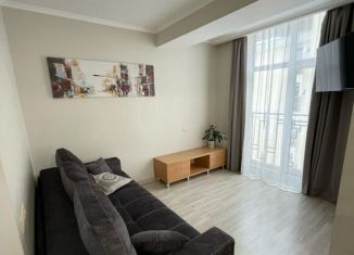 Сдача в аренду квартиры студии, 27 м2, Сочи, Курортный проспект, 96/4, микрорайон Приморье