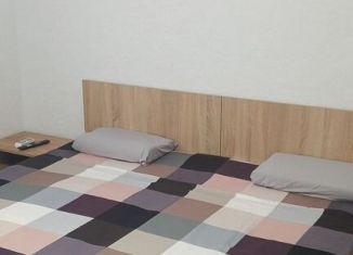 Сдается в аренду квартира студия, 25 м2, поселок городского типа Новофёдоровка, улица Тимура Апакидзе, 2/3