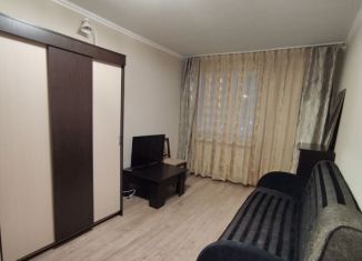 Сдается в аренду 1-ком. квартира, 38 м2, Ленинградская область, Промышленная улица, 2