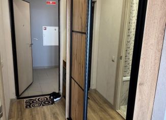 Сдача в аренду квартиры студии, 24 м2, Киров, Московская улица, 217