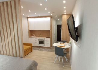 Продажа квартиры студии, 29 м2, село Михайловка, Сливовая улица, 1/1