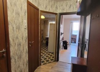 1-комнатная квартира в аренду, 38 м2, Колпино, улица Веры Слуцкой, 50