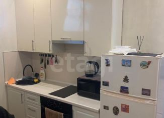 Продам квартиру студию, 28.8 м2, деревня Митькино, Цветочная улица, 1