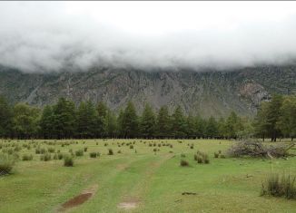 Продам участок, 100 сот., Челушманское сельское поселение