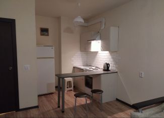 Сдается в аренду квартира студия, 27 м2, Ростов-на-Дону, улица Тимофеева, 14к1, ЖК Платовский