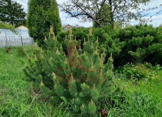 Продается земельный участок, 11.6 сот., Орёл, 3-я площадка, 45