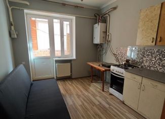 Сдача в аренду 1-ком. квартиры, 50 м2, посёлок Берёзовый, улица Профессора Рудакова, 7/36к7