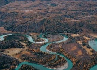 Продается участок, 2000 сот., Курайское сельское поселение