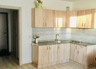 Сдаю в аренду квартиру студию, 25 м2, городской посёлок Янино-1, Голландская улица, 10к1, ЖК Новое Янино