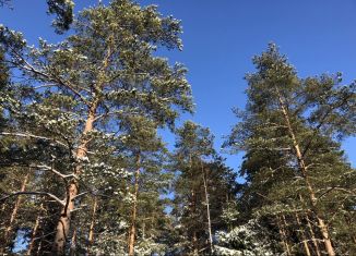 Продажа участка, 25 сот., посёлок Репино, Новгородская улица