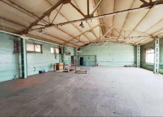 Сдача в аренду производства, 450 м2, Саратовская область, Астраханская улица, 87