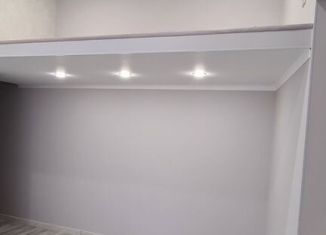 Продаю 1-ком. квартиру, 30 м2, Санкт-Петербург, Коломенская улица, 33/40, муниципальный округ Владимирский