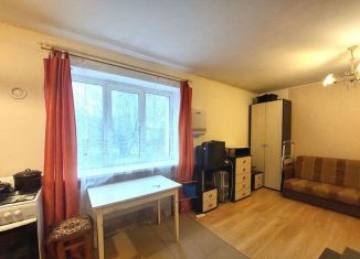 Квартира в аренду студия, 27 м2, посёлок Парголово, Парнасная улица, 5к2