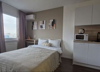 Сдача в аренду квартиры студии, 22 м2, Санкт-Петербург, улица Маршала Казакова, 22к2, Красносельский район