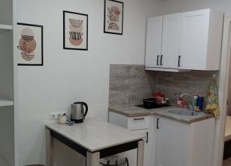 Аренда 1-комнатной квартиры, 30 м2, Тобольск, 7-й микрорайон, 48, ЖК Счастливая Семья