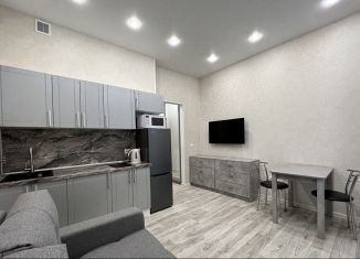 Продаю квартиру студию, 22.9 м2, Тюмень, Верхнетарманская улица, 5, ЖК Новый Мыс 2.0