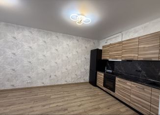 Сдача в аренду 1-комнатной квартиры, 43 м2, Республика Башкортостан, улица Менделеева, 132