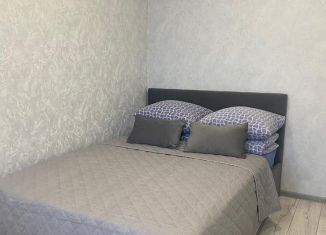 Сдача в аренду однокомнатной квартиры, 30 м2, Данков, Молодёжная улица, 1