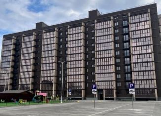 Продается 1-комнатная квартира, 37.8 м2, Благовещенск, Литейная улица, 95