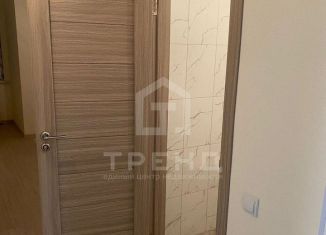 Продам квартиру студию, 22.9 м2, посёлок Шушары, ЖК Чкалов, Старорусский проспект, 5к1