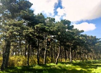 Продажа участка, 5 сот., Керчь, Сосновая улица, 36