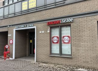 Продажа помещения свободного назначения, 101 м2, Санкт-Петербург, улица Тамбасова, 1к1, Красносельский район