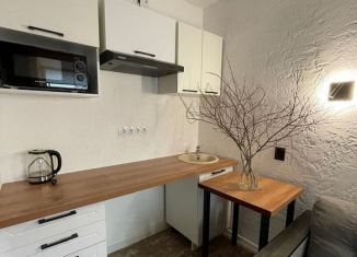 Сдача в аренду квартиры студии, 30 м2, Санкт-Петербург, 13-я Красноармейская улица, 22