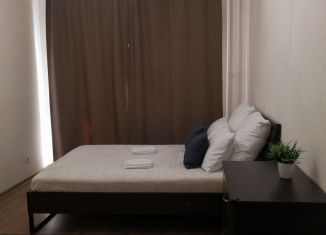 Сдается в аренду 1-комнатная квартира, 35 м2, Санкт-Петербург, Кушелевская дорога, 3к13, Калининский район