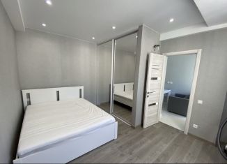 Сдача в аренду 1-ком. квартиры, 34 м2, Сочи, улица Яна Фабрициуса, 23лит5, микрорайон Соболевка